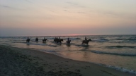 Der Ausflug auf den Pferden von "Stajnia u Bohuna" an der Ostsee