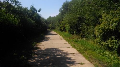 Droga spacerowa pośród zieleni ze "Starej Kuźni" do centrum Sztutowa